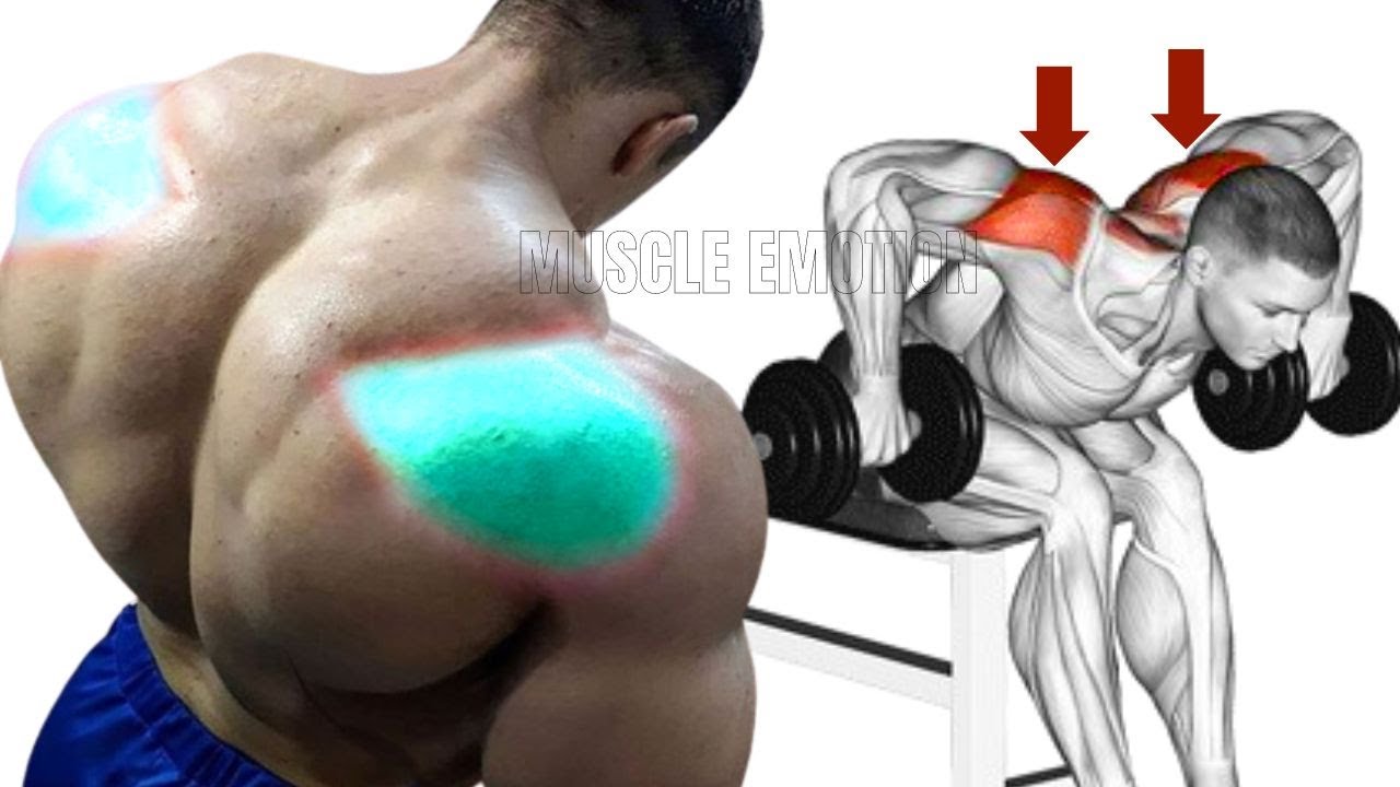 5 BEST REAR DELTOID EXERCISES WITH DUMBBELLS ONLY AT HOME - YouTube