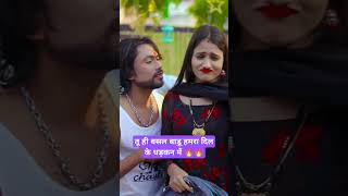 दल क धडकन म