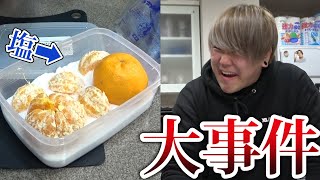 【ソルト】色んな食べ物を塩漬けにしてみよう