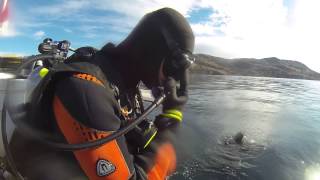 Jumping Off The Spectre Dive Boat Scuba Diving