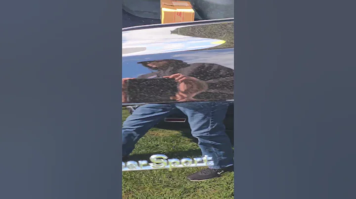 1966 Chevelle SS #cars #hotrodding #classiccars #classic #musclecars #short ##SHORTS