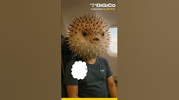 The New DiGiCo Quantum 112