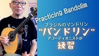 アコーディオン奏者が、バンドリンで…！】 - YouTube