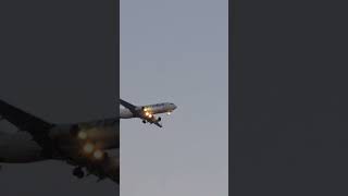 airplane over erbil #737#atlis air
