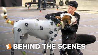 The Call of the Wild Exclusive Behind the Scenes - Dogs in MoCap (2020) | FandangoNOW Extras Resimi