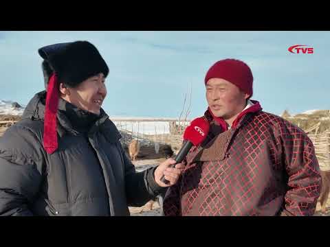 СУМЫН АВАРГА МАЛЧИН БОЛООД МАЛАА МАЛЛАН НУТАГТАА ЭЗЭН НЬ БОЛОН АМЬДРАХ УРАМ ЗОРИГ АВСАН