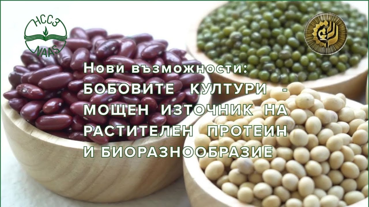 Нови възможности: бобовите култури – мощен източник на растителен протеин и биоразнообразие
