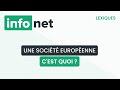 Une socit europenne cest quoi  dfinition aide lexique tuto explication