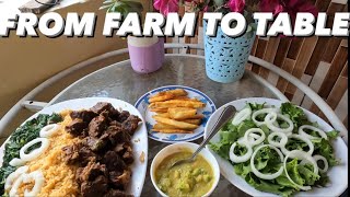 Cooking with Mama Shamis CAMEL MEAT and fresh veg FROM FARM TO TABLE HARGEISA SOMALILAND 2023