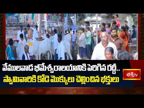 వేములవాడ భీమేశ్వరాలయానికి పెరిగిన రద్దీ.. స్వామివారికి కోడె మొక్కులు చెల్లించిన భక్తులు | Bhakthi TV
