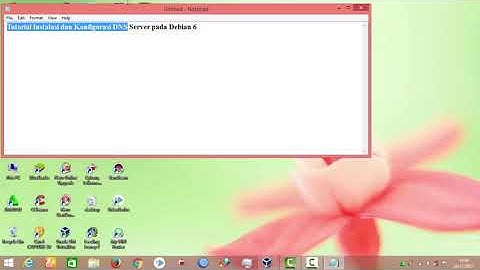 Instalasi dan Konfigurasi DNS Server pada Debian 6