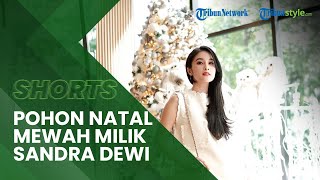 Download Lagu Antusias Sambut Hari Raya Natal, Ini Dia Pohon Natal Mewah Milik Sandra Dewi MP3 Download Lagu Antusias Sambut Hari Raya Natal, Ini Dia Pohon Natal Mewah Milik Sandra Dewi MP3