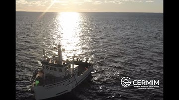 Ghost gear retrieval with ROV - LOREVA 2022 - CERMIM (English)