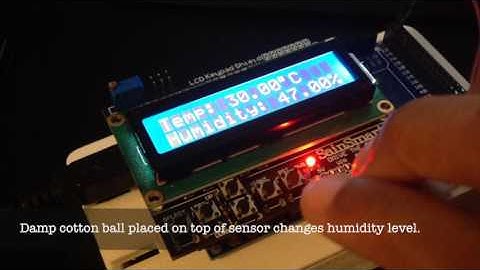 DHT11 & DHT22 Sensors Temperature and Humidity