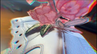 (SATISFYING) CUSTOM NIKE AF1 TUTORIAL !!!