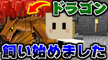 تحميل ぴくとはうす ドラゴン تحميل ぴくとはうす ドラゴン