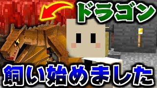 【マインクラフト】凶暴なドラゴンを飼いならしてドラゴンと生活したい #9 遂にドラゴンの卵を孵化させる【マイクラ実況】