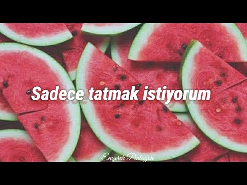 Harry Styles Watermelon Sugar (Türkçe Çeviri)