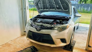 2015 Toyota Corolla 1.8L | Complete Oil Change