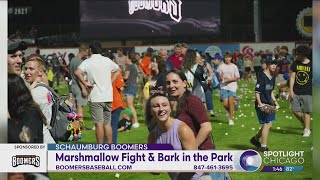 Marshmallow Fight & Bark in the Park