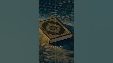 سورة النساء / ياسر الدوسري