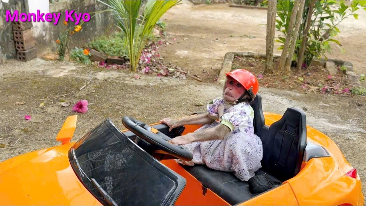 Kyo's fun shopping trip: What did she buy for BuNa?