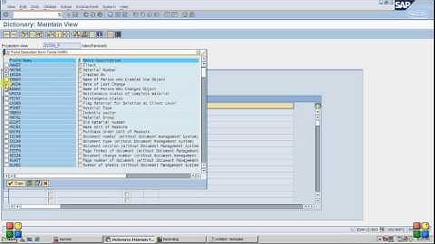 DATA DICTIONARY- VIEW- PROJECTION
