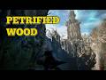 How to Get Petrified Wood in Gothic Remake