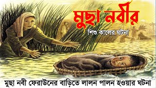 মুছা নবীর শিশু কালের ঘটনা || মুছা নবী ও ফেরাউনের ঘটনা || মাওলানা আব্দুল মুহিত সাহেব