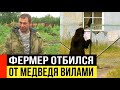 Фермер отбился от медведя вилами, защищая жену и поросят.