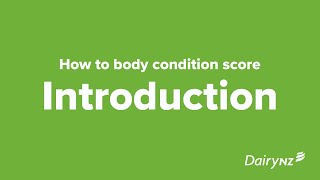 DairyNZ Body Condition Scoring - Introduction
