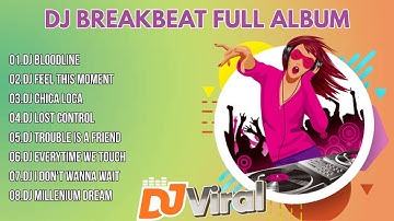 COOL!!! THE NEWEST AND VIRAL WESTERN BREAKBEAT DJ FULL ALBUM OF 2025