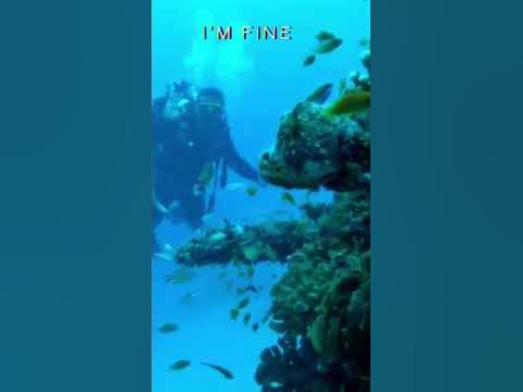 1st Scuba Diving Experience 🇲🇻🤿🤪#short #shortvideo #maldivesisland #
