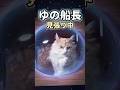 透明カプセルの中の猫が可愛すぎる #猫動画 #癒し