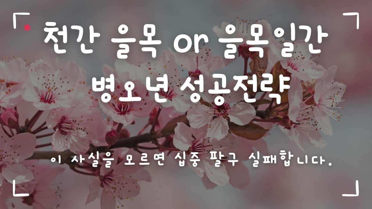 병오년에 을목일간 이거 모르면 십중팔구 실패합니다.