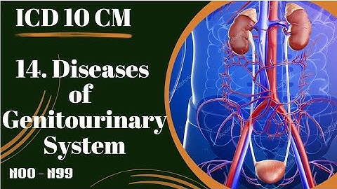 DISEASES OF GENITOURINARY SYSTEM - CHRONIC KIDNEY DISEASE | Chapter 14 ICD-10-CM #CPC  #ICD10CM