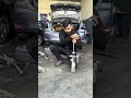 How To Check Shock Absorber Manually #checking #shock #absorber #carrepair #mechanic