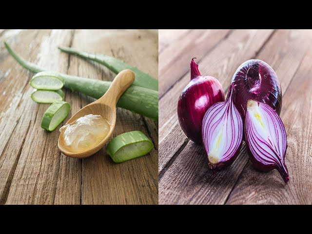 Homemade aloe vera and onion shampoo  good and economical! - YouTube