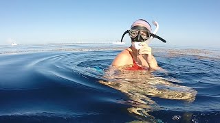Captain Jack Spearo Best Spearfishing Moments Ep. 40