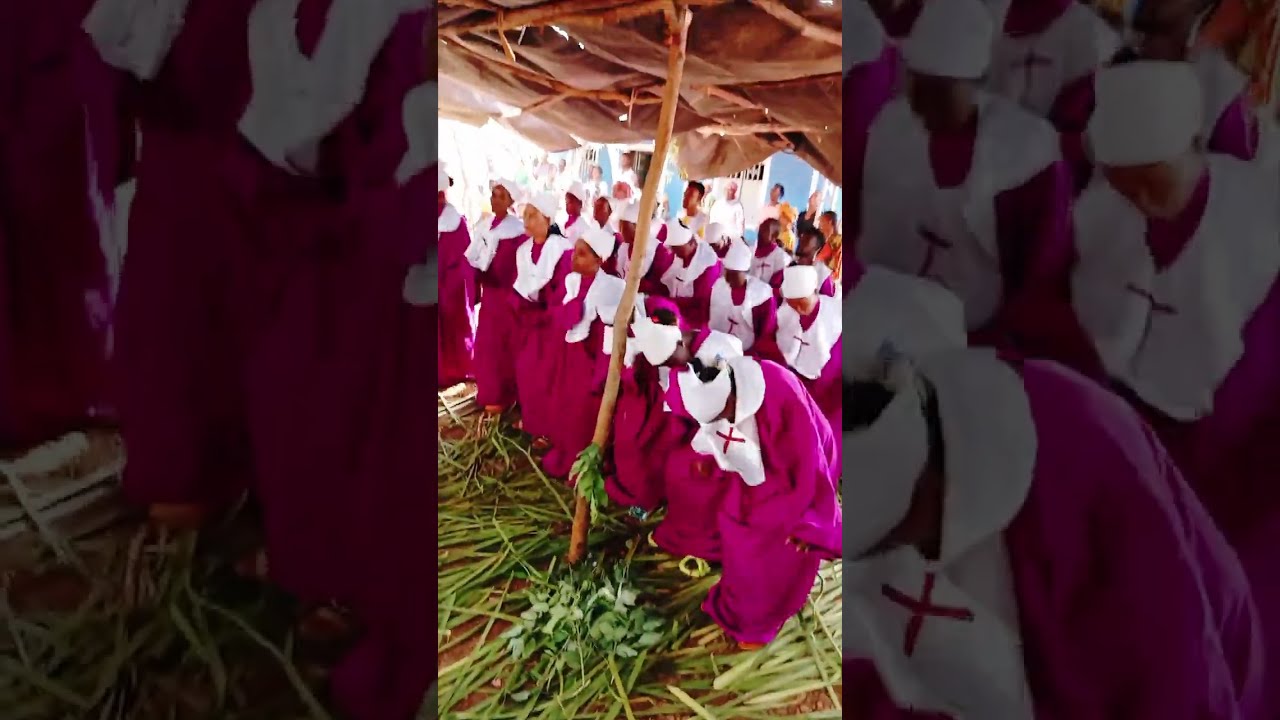 @-ለታርዳው በግ ለኢየሱስ ክብር ይገበዋል።