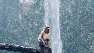 Grojogan Sewu Tawangmangu Surga Tersembunyi di Lereng Gunung Lawu🏞
