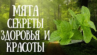 #мята  Секреты здоровья и красоты #фитотерапия #здоровье #health