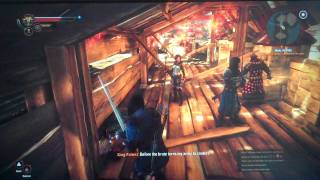 Witcher 2 freezing bug