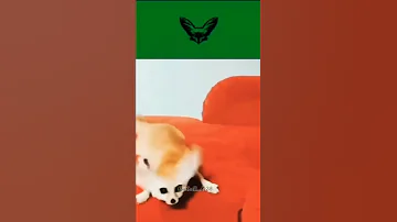 شواكر اللعبة 