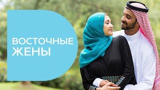 Восточные жены: новая серия Восточные жены: новая серия