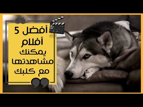 فيديو: أفضل 5 أفلام لمشاهدتها مع كلبك