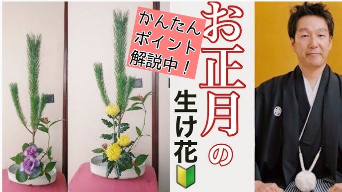 初心者向け よくわかる生け花 お正月生け花 いけばな小原流 たてるかたち 若松と葉ボタンと千両で 生け花レッスン Youtube 初心者向け よくわかる生け花 お正月生け花 いけばな小原流 たてるかたち 若松と葉ボタンと千両で 生け花レッスン Youtube