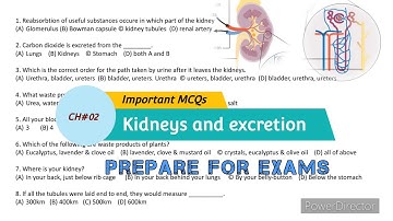 Important MCQs of kidneys and excretion | past papers MCQs solved | Science chapter 2 class 8th