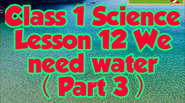 Class 1 Science Lesson 12 We need water (Part 3)