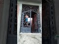 قلما قليوب القليوبيه 9